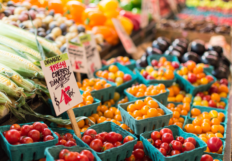 Experience Toledo’s Vibrant Flower Day Weekend This Summer!