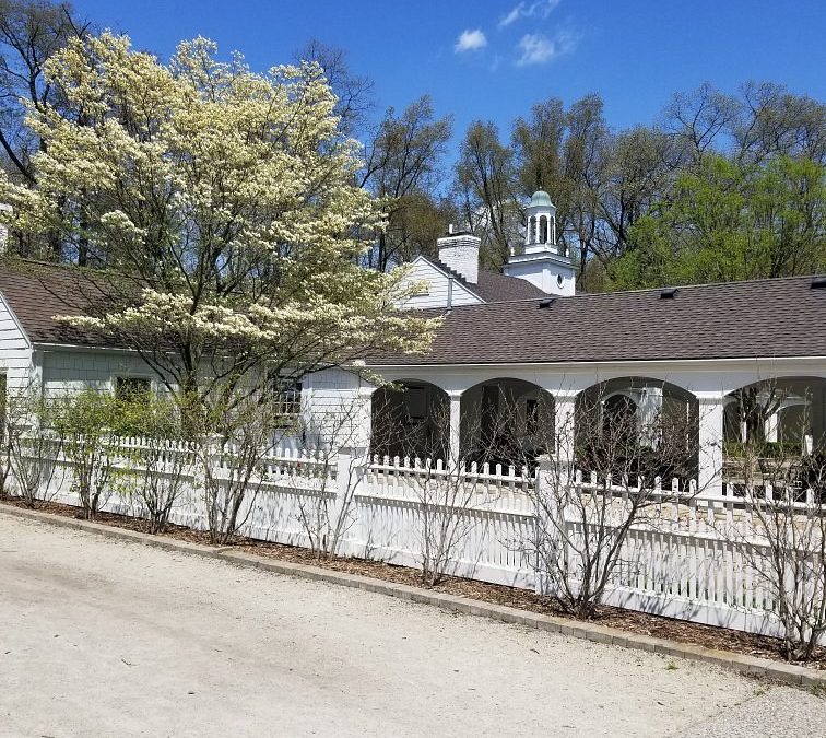 Exploring the Natural Heritage of Wildwood Preserve Metropark