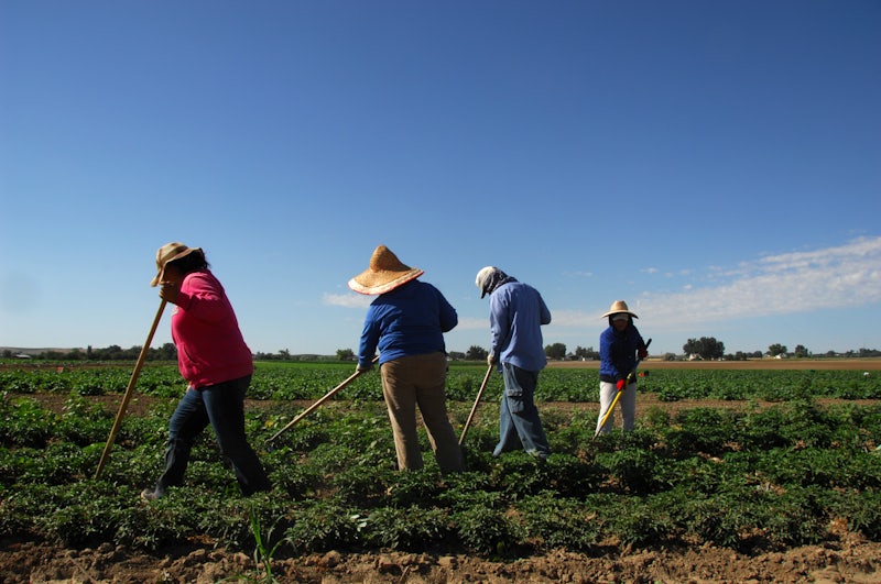 Toledo’s Unprecedented Fall Challenge: Battling a Persistent Drought