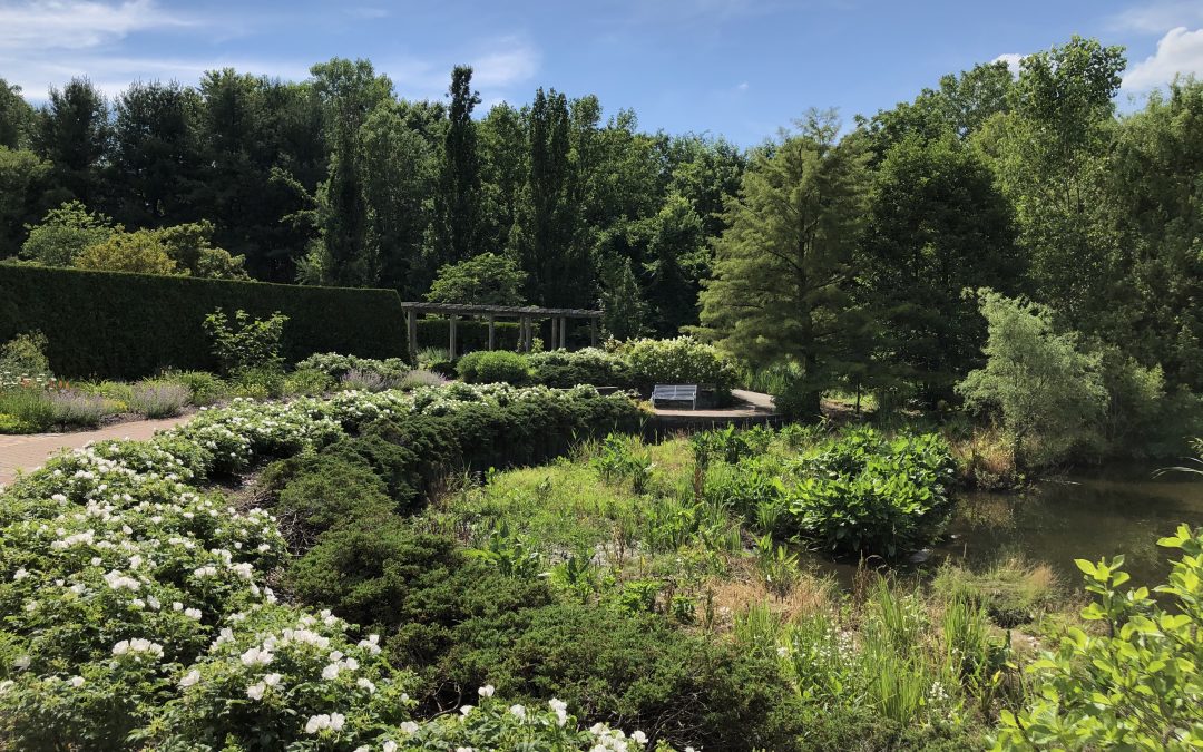 Escape into History: Exploring the Enchanting Toledo Botanical Garden and its Pioneer Garden