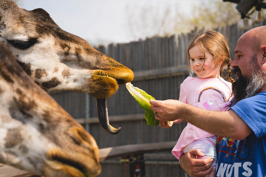 Exploring Sensory-Friendly Toledo: A Guide to Inclusive Destinations